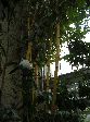 007_2009-0118-1025-21A.jpg